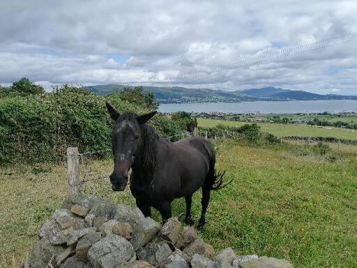 Apartmán Carlingford Mountain And Sea Views Exteriér fotografie